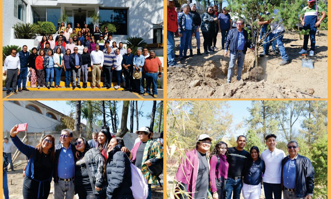 Mantiene UATx reforestación del campus Rectoría