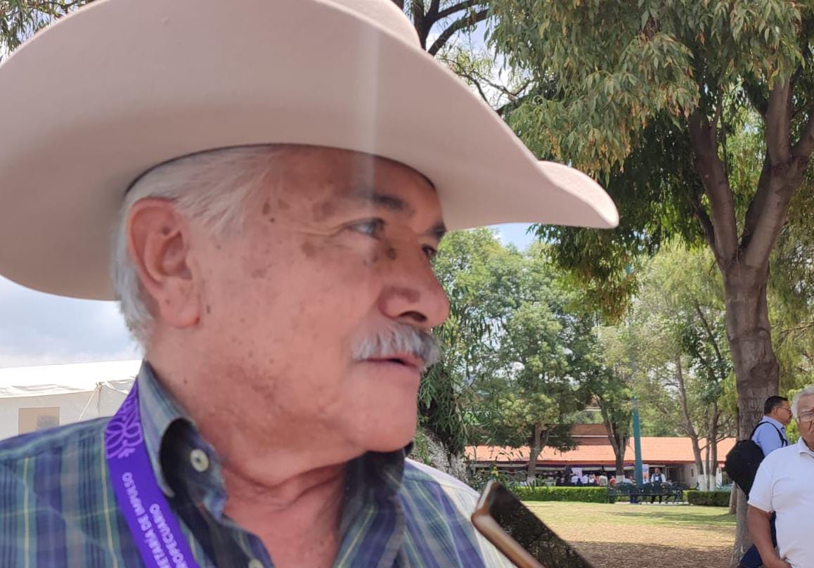  Ceniza volcánica, de los mejores abonos para el campo: SIA