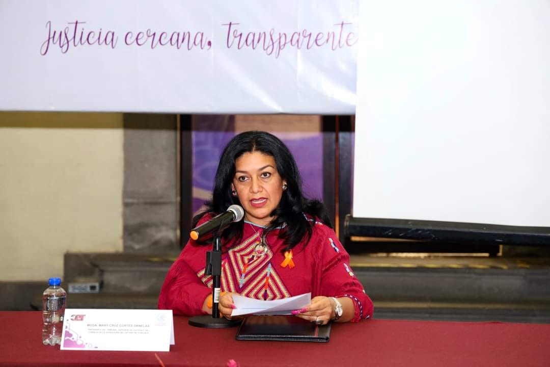 Busca TSJE actualización de conocimientos en materia penal