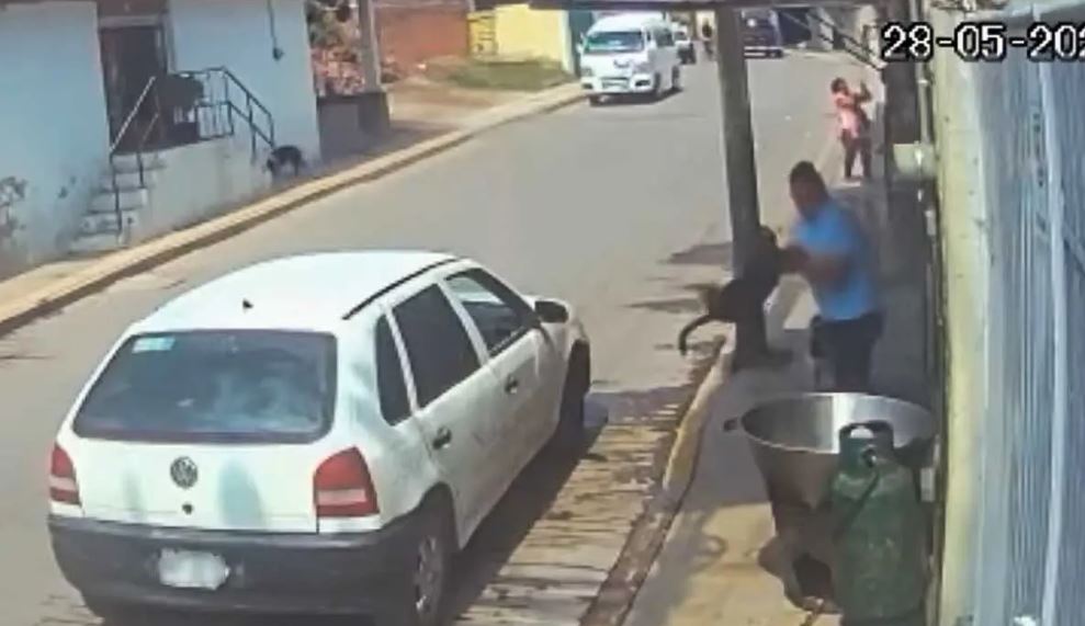 "Tratan de identificarlo": Buscan a sujeto que arrojó a perro dentro de cazo de aceite hirviendo (Vídeo)