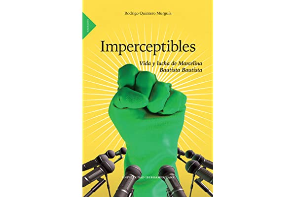 Hay en Tlaxcala 24 mil trabajadoras del hogar: libro Imperceptibles