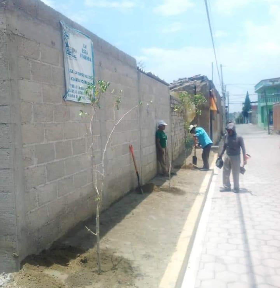 Calpenses y Ayuntamiento trabajan en mejora de imagen urbana y educación forestal