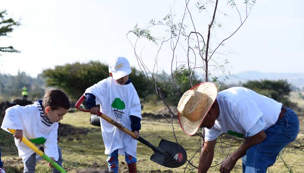 BUAP convoca a reforestar el Ecocampus