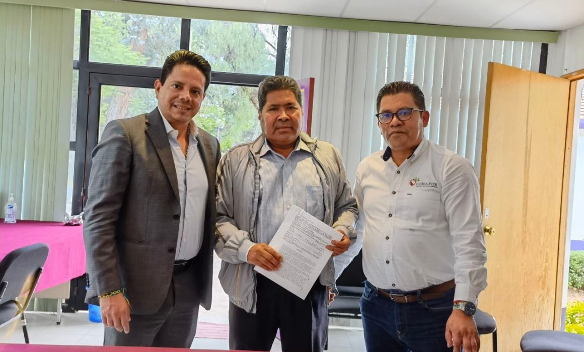 Ejercerá Gobierno del estado 8.1 millones de pesos para reforestación
