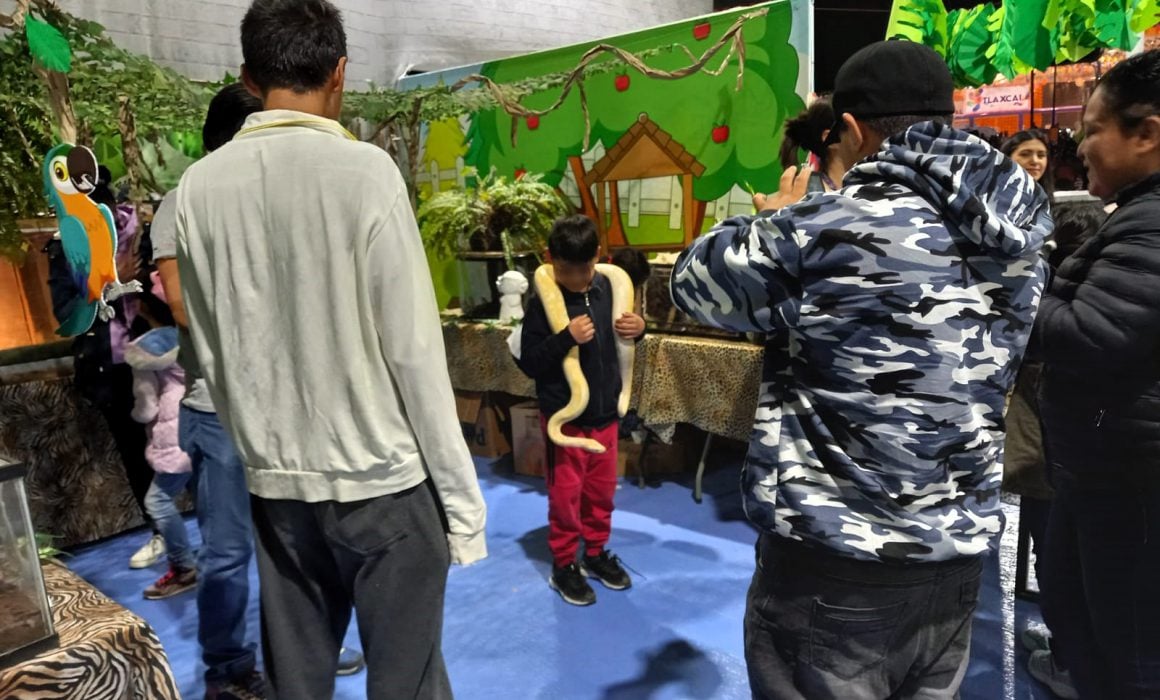 Diversas actividades para niños en Tlaxcala, la Feria de ferias