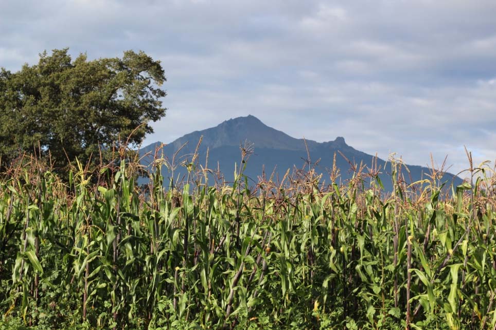 Tlaxcala, el décimo estado con menor economía: INEGI 