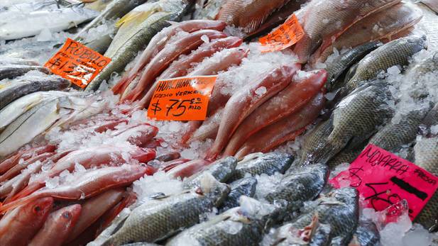 Anuncian clausura definitiva de negocios de Mariscos y Pescado en el Centro Histórico por vertido de desechos en jardineras