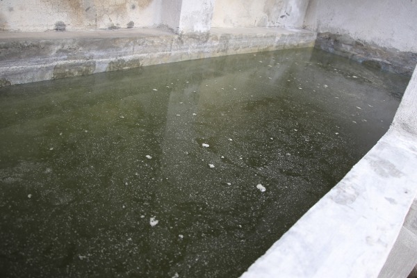 Dengue llega a 105 municipios de Puebla