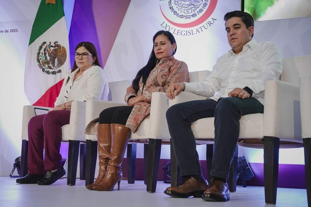 Insta Ana Lilia Rivera dar avance a metas legislativas en el Senado de la República
