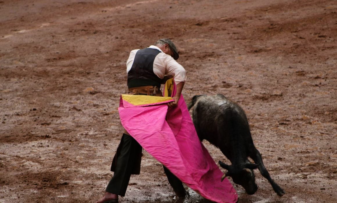 Inician tientas públicas de Tlaxcala, la Feria de Ferias 2023