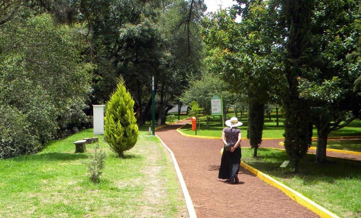 Celebra el Día de los Jardines Botánicos con visita al Jardín de Tizatlán