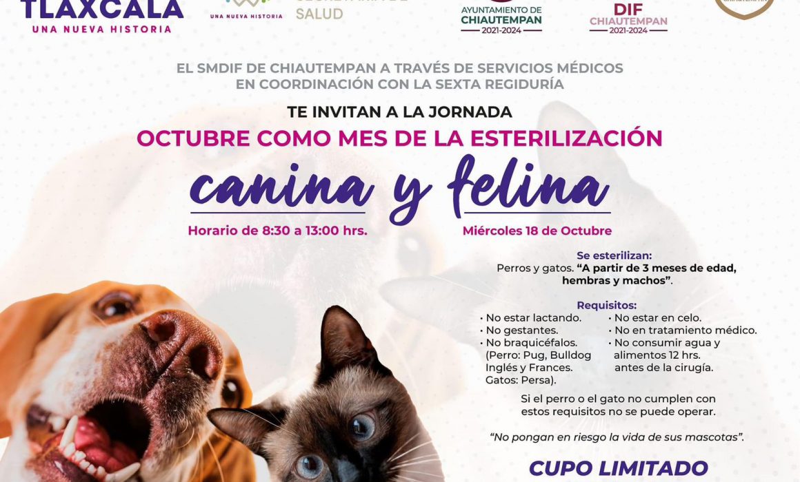 Invita SMDIF Chiautempan a jornada de esterilización canina y felina