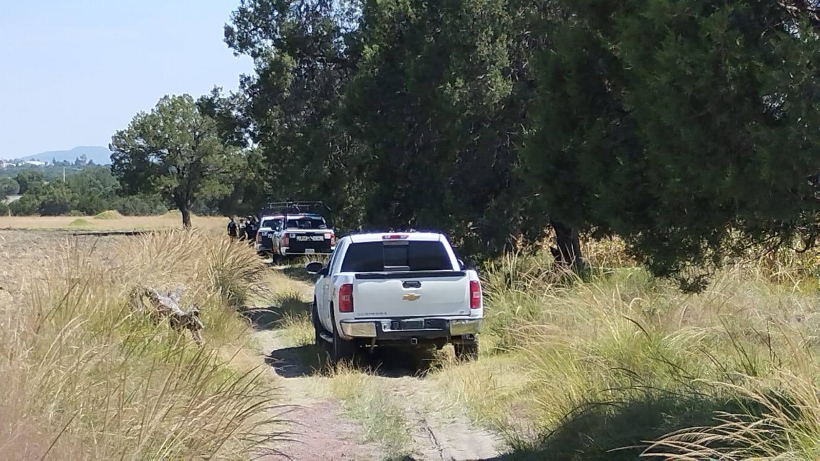 Hallan cadáver calcinado y comido por la fauna en terrenos de labor de Apizaco