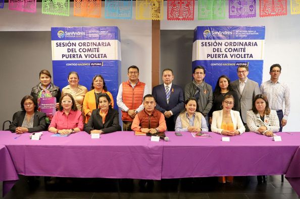 Toman protesta nuevos integrantes del Comité de la Estrategia Puerta Violeta: SACH