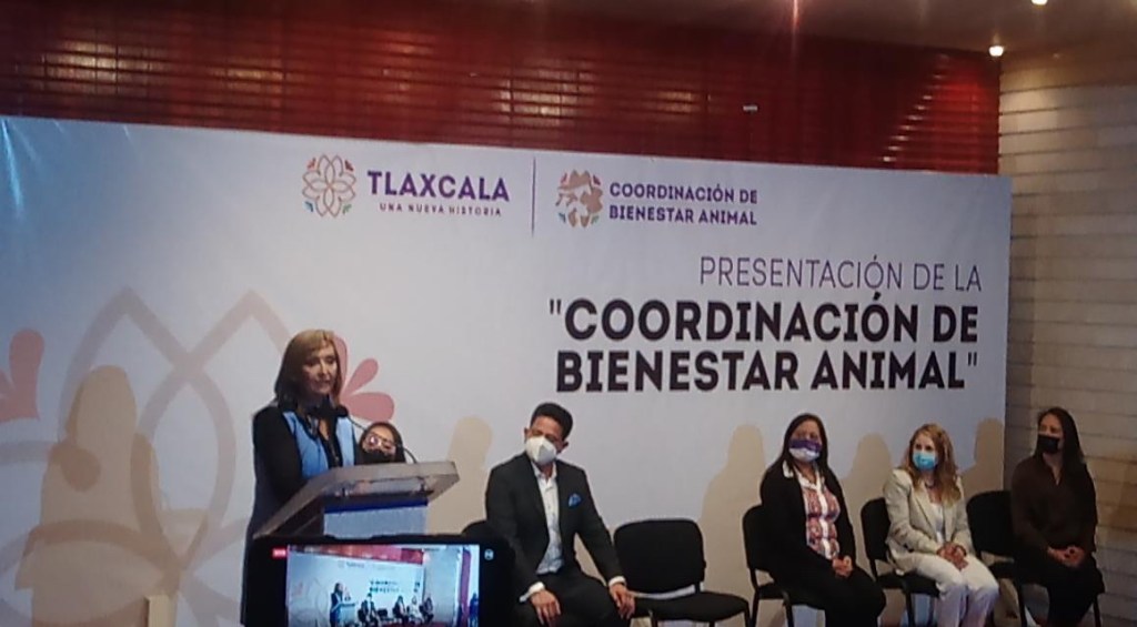 Lamenta OCPA omisiones a Ley de Bienestar Animal; incumplen municipios y CBA