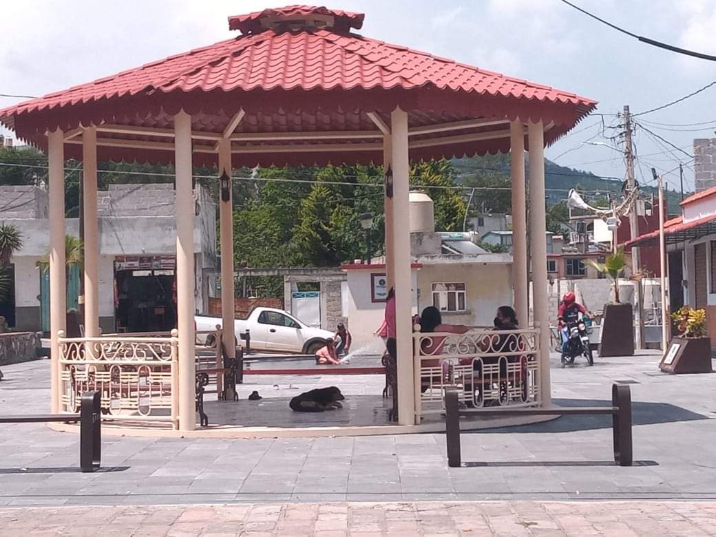 Tlaxcala suma dos municipios más con reglamento de bienestar y protección animal