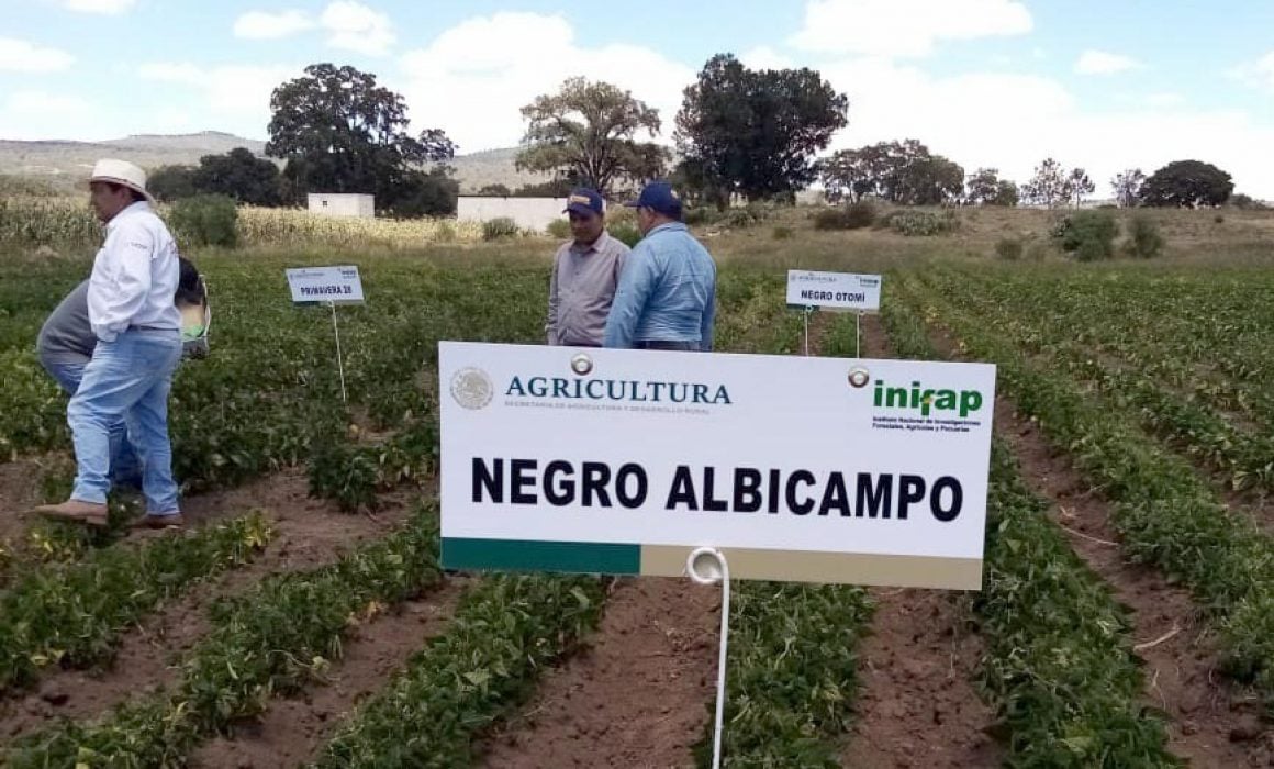 Reciben curso sobre innovaciones tecnológicas en el cultivo de frijol