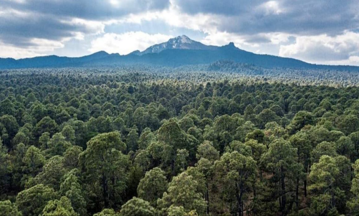 Clima para Tlaxcala: Mañana fría y tarde con chubascos