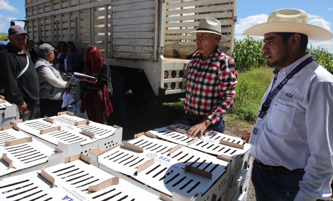 Entrega SIA 735 paquetes de especies menores en Ixtacuixtla y Zacatelco