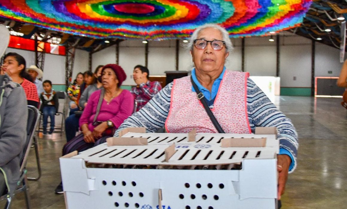 Entrega SIA y Ayuntamiento de Huamantla paquetes de especies menores
