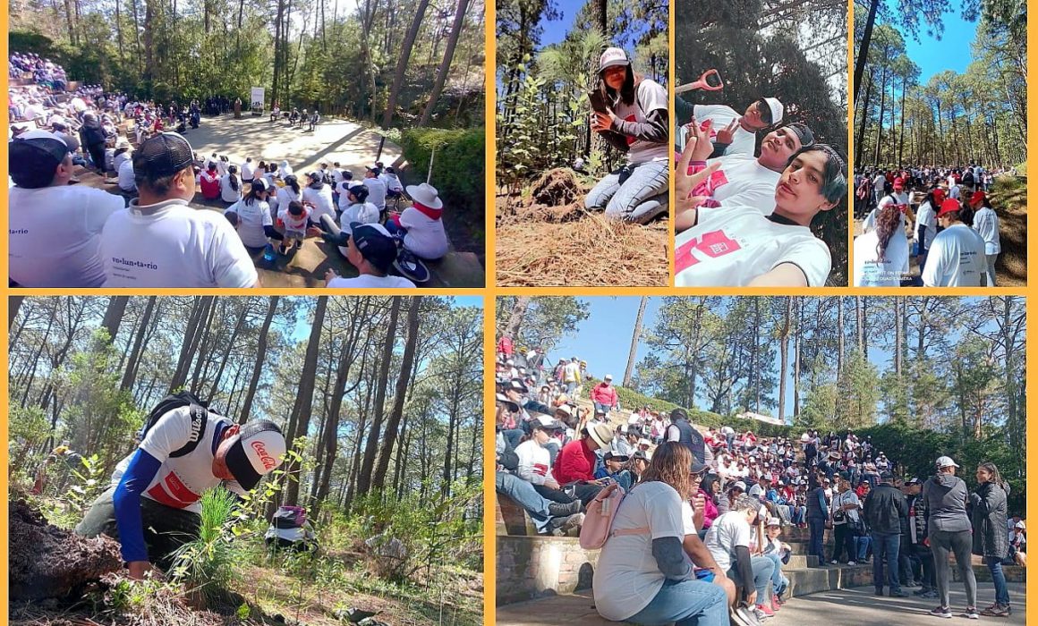 Colabora UATX en reforestación del Parque Nacional La Malinche