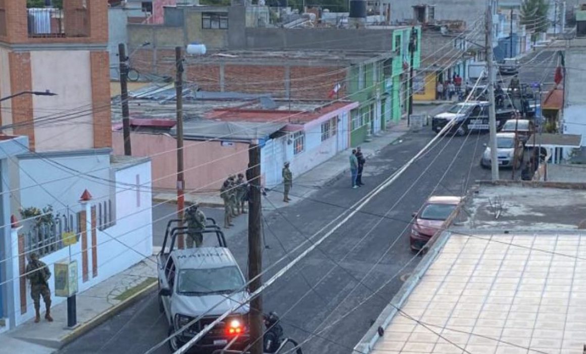 Aseguran plantas de marihuana en colonia Adolfo López Mateos en Tlaxcala