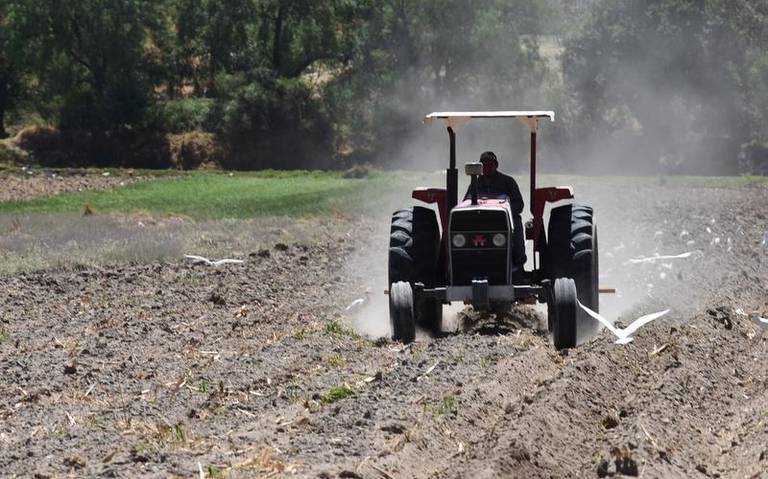 Pide sector campesino otros 100 mdp para rescatar el agro