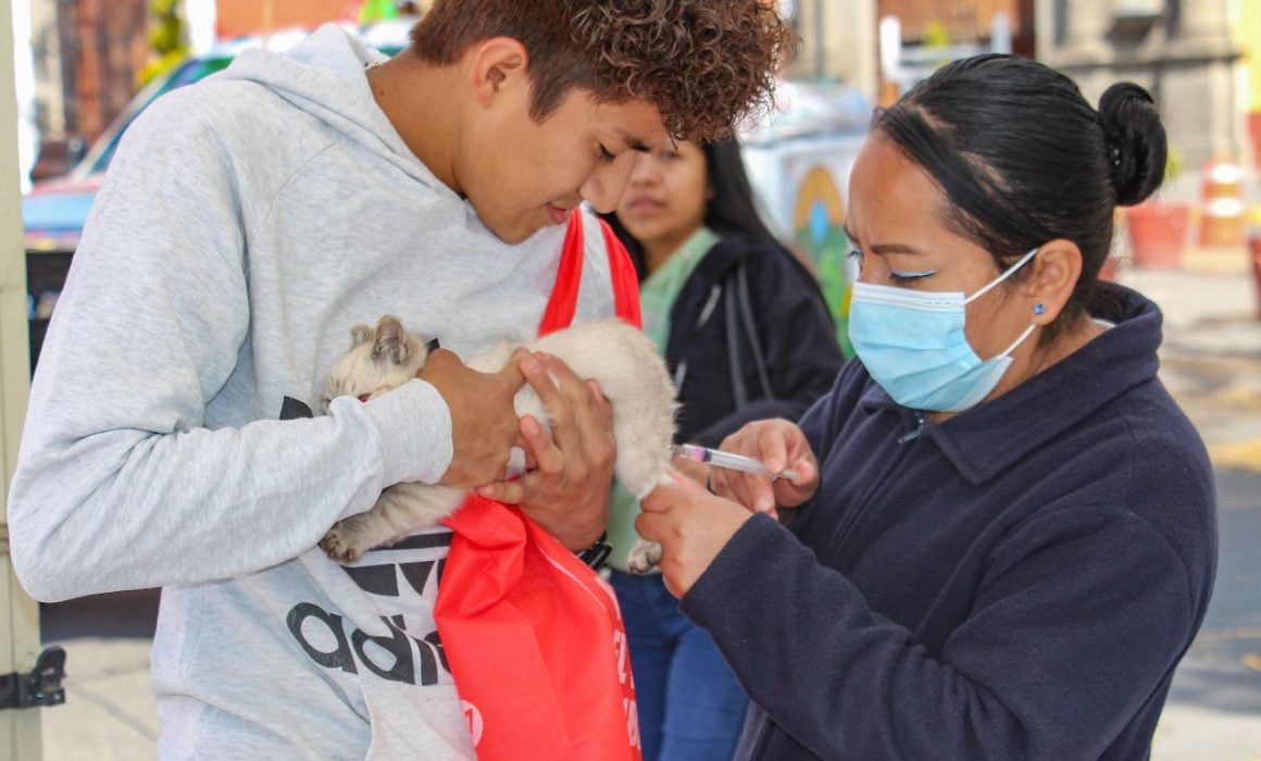 Invita Huamantla a últimos días de vacunación antirrábica canina y felina