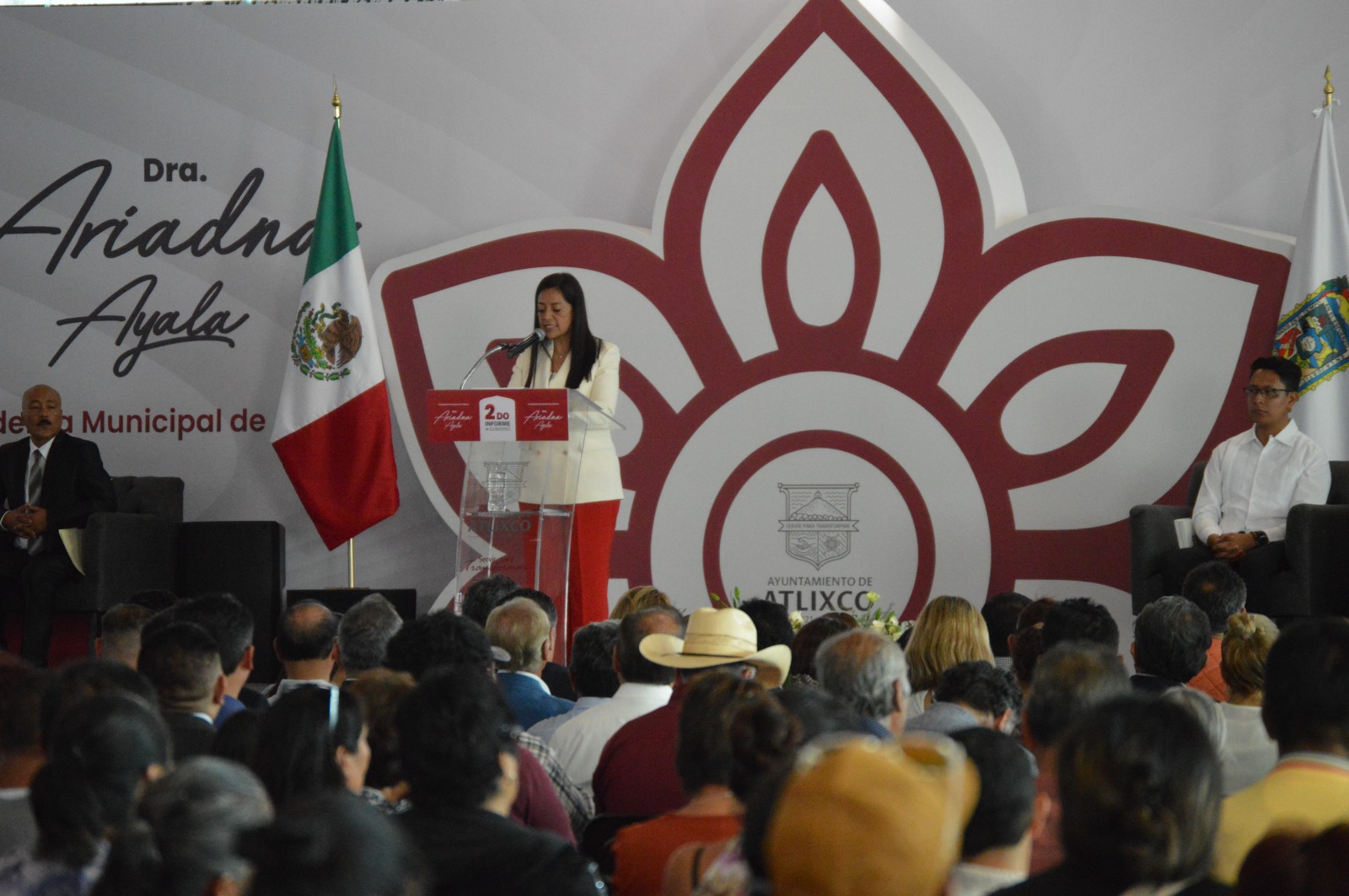 informe14