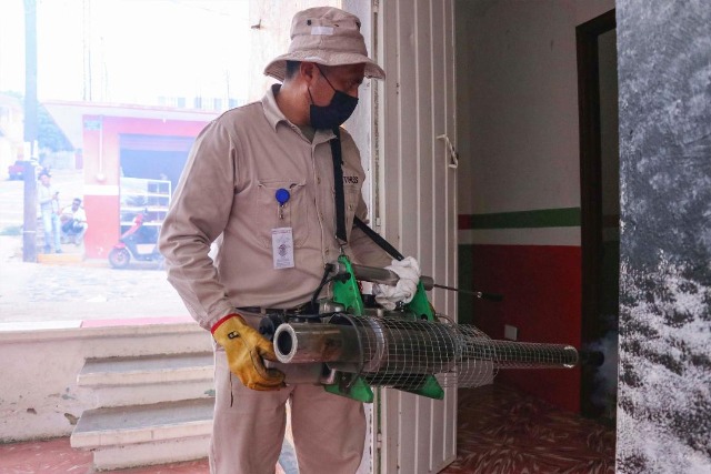 Registra Puebla 19 personas hospitalizadas a causa del dengue