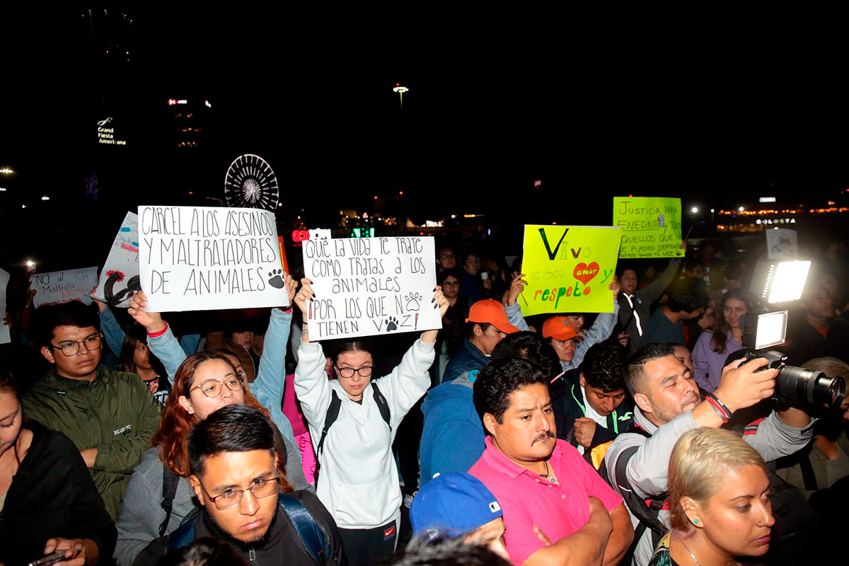 Protestan en Puebla para detener la escalada de violencia contra los animales
