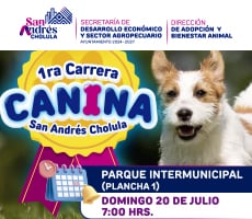 Carrera canina 2025