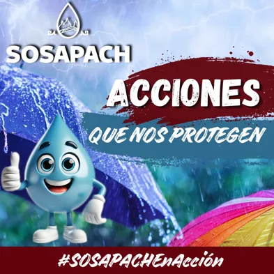 Acciones que nos protegen