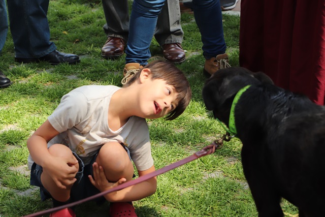 Encuentran nuevo hogar 35 perros en San Pedro Cholula 