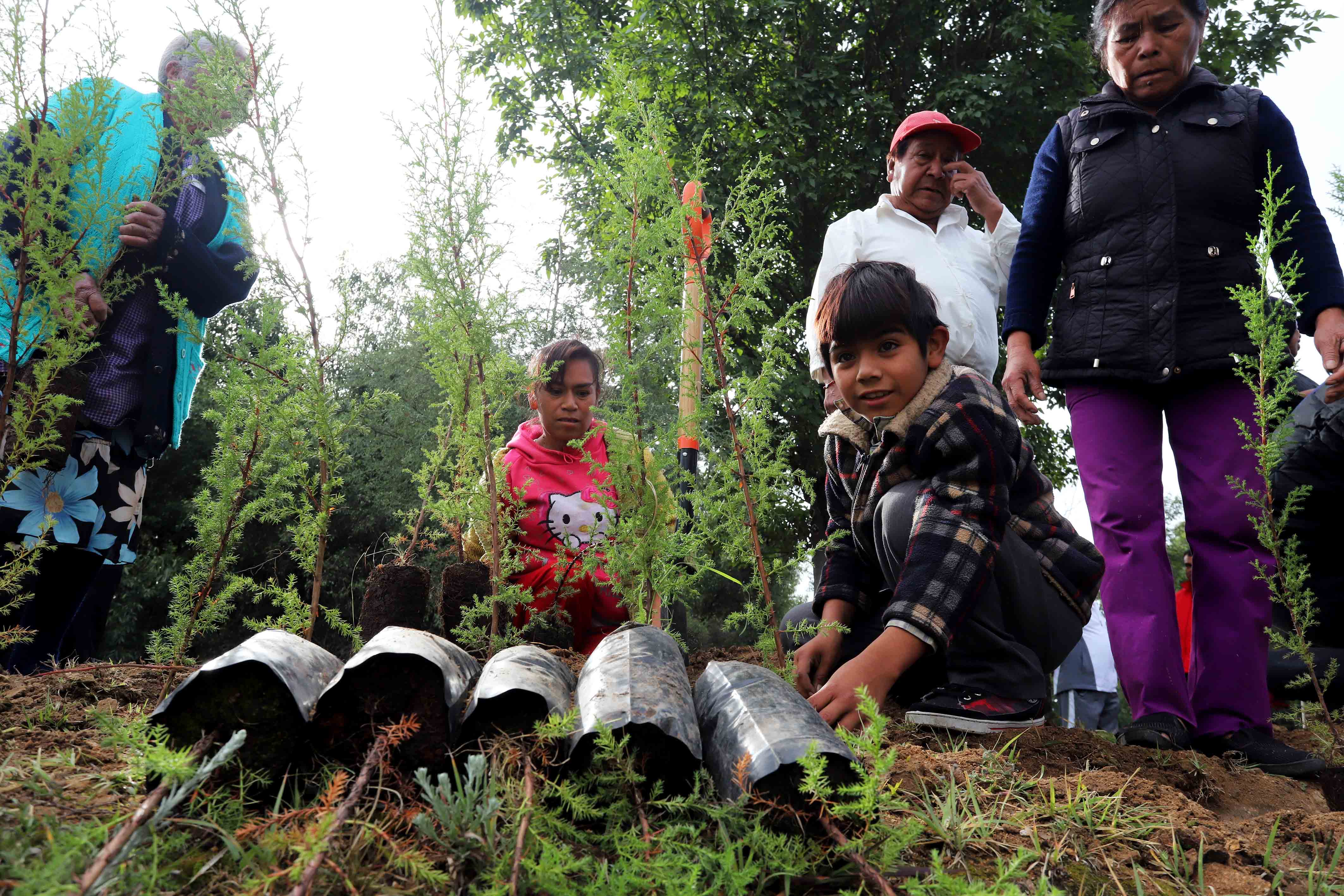 CONCLUYE CGE REFORESTACIÓN EN LA MALINCHE CON 250 MIL ÁRBOLES   