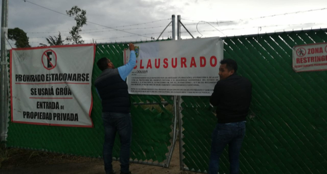 Secretaría de Medio Ambiente clausura tala de árboles en Lomas de San Juan