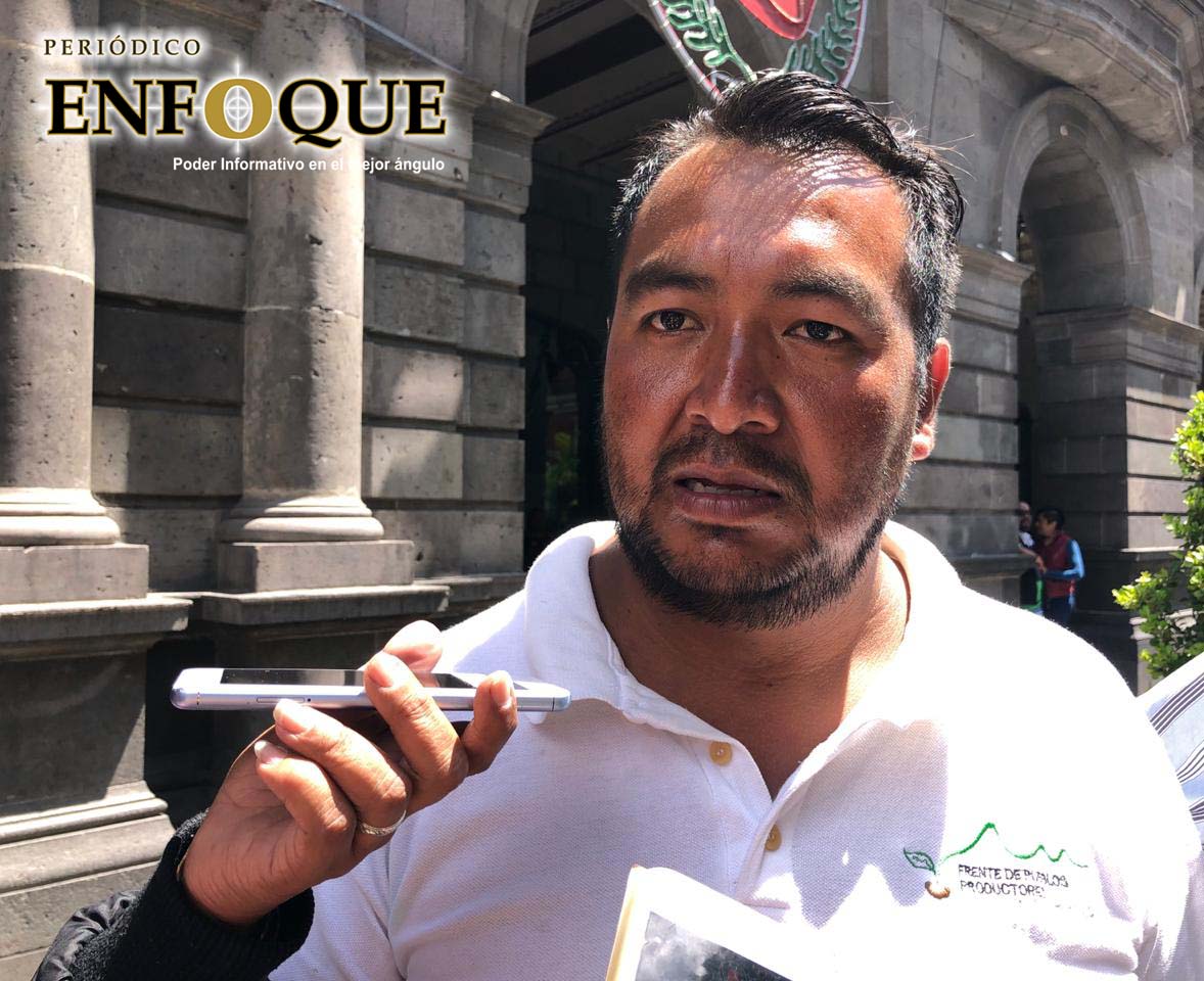 Productores de hortalizas y legumbres exigen al Ayuntamiento mejores condiciones de trabajo 