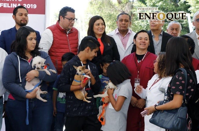 Aplicarán 45 mil dosis en la semana de vacunación Antirrábica Canina y Felina