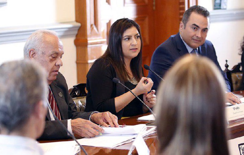 Lamenta Rivera Vivanco oposición de morenistas para legalizar aborto y matrimonio igualitario 