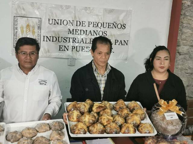 Precio de la hojaldra no aumentará en esta temporada: UPMIPAN