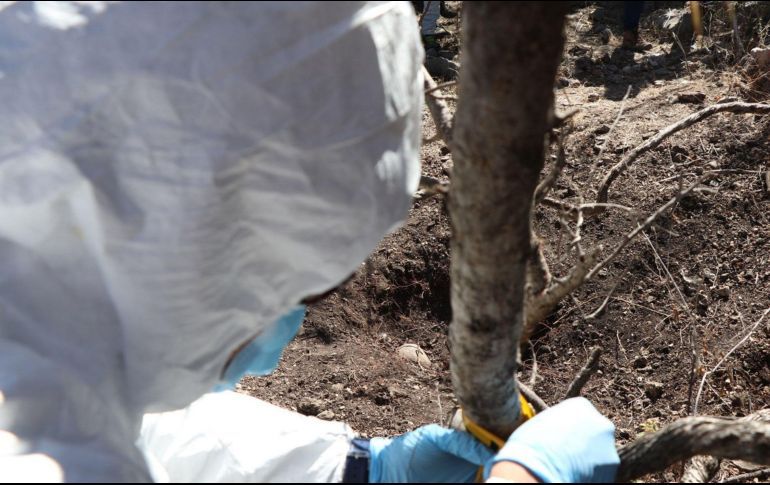 Sin identificar, casi mil cuerpos en Veracruz