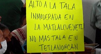 Denuncian pobladores de Tetlanohcan tala inmoderada en la Malinche