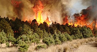 AMLO no descarta que incendios forestales sean provocados por inmobiliarias 