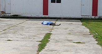 Muere mujer cerca las instalaciones de la PGJE, en Calpulalpan
