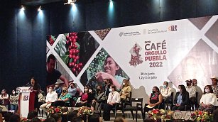Prevén que en Puebla se logren producir más de 200 mil toneladas de café para este año