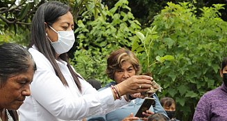 Ayuntamiento de Atlixco destinó 750 mil pesos en apoyo a cultivo de zarzamora para mujeres atlixquenses
