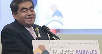 Afirma Barbosa que la prohibición de la "fiesta brava" en Puebla extinguirá a los toros de lidia