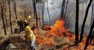 30 mil hectáreas han sido afectadas por incendios forestales en Michoacán 