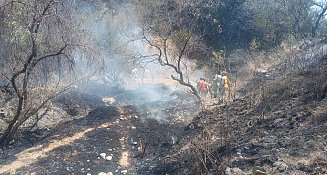 Incendio forestal inquieta, a vecinos en Santiago Xochimilco, Ixtacuixtla