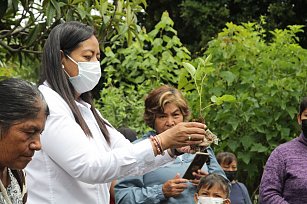 Ayuntamiento de Atlixco destinó 750 mil pesos en apoyo a cultivo de zarzamora para mujeres atlixquenses
